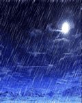 pic for Rain in Night